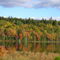 Frog Lake