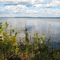 Oromocto Lake summer