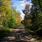 Dirt Road to Lake in Autumn