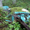 Rusty old Blue Car With A White Roof