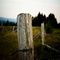 New Brunswick In The Fall