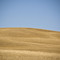Sussex Hills