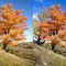 X-Eye3D Autumn in Sunrot Farm