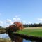 Kennetcook River - Fall 2008