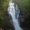 Martha Brook Fall