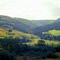 margaree valley, cape breton, nova scotia, aug 1973