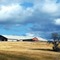 MacGregors Dairy Farm