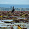 Mofwe Lagoon