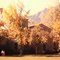 In the mountains of Colorado -1971-