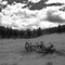 Pioneer History, Cal-Wood, Boulder County, Colorado