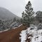 Colorado Spring