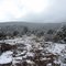 Spring snow