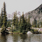 scott fish mt.zirkel