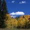 Fall's Fire
