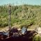 Drilling Test Holes in 1979 - NURE