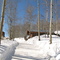 The historic mining town of Columbine, CO - established in 1897