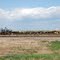 Stock Yards - Yuma, CO