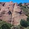ANIMALS IN THE ROCKS IN COLORADO?