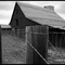 An old barn in Henderson, CO