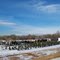 Farm Snowed,West Adams,Colorado,USA