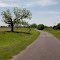 Limestone County Road 433