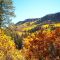Fall in the mountains