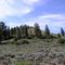 Signal Peak near Gunnison, CO