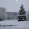 Snow Dec 8, 2007