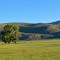 West Gunnison