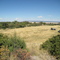 Branson, CO - Photo of Parcel 5