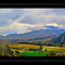 Black Bear Log Cabin View
