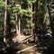 Williams Fork