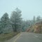 nature in colorado