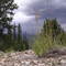 Continental Divide