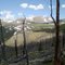 Mt. Evans from Lincoln Lake Trail