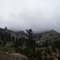 Colorado Rockies