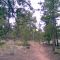 Cabin near Happy Ass Ranch