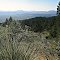 butte view in the foothills