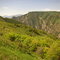 Black Canyon of the Gunnison North Rim