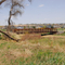 Trail Bridge in Parker, CO