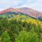 red mountain