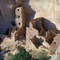 Square Tower House in Mesa Verde National Park