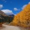 Mosquito Pass Road