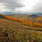 081003 FourMile 0028