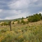 Somewhere between Rifle Falls and Glenwood Springs Colorado