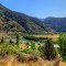 Colorado River, No Name, Colorado