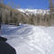 Making Tracks On A Frozen Laplata Creek