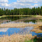 Turnbull National Wildlife Refuge