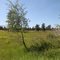 Blackhorse Lake at Turnbull National Wildlife Refuge