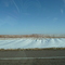 Spring Snow